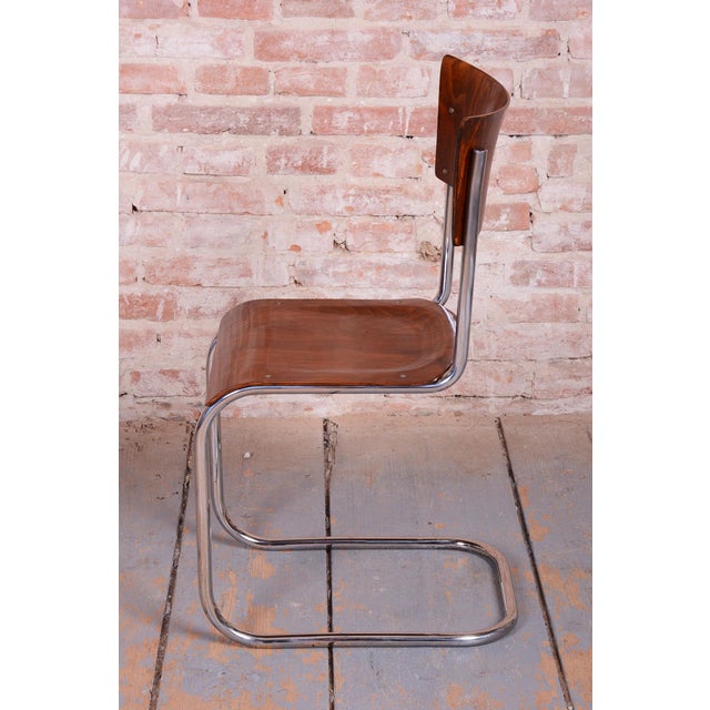 Brown Bauhaus Chairs in Beech and Chrome-Plated Steel, Czech, 1930s, Set of 4 For Sale - Image 8 of 14