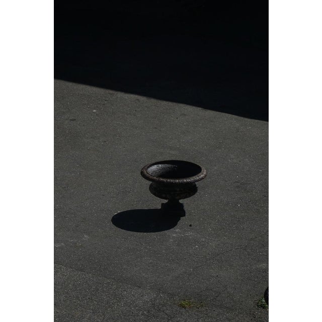 1920s Antique French Cast Iron Garden Planter, 1920s For Sale - Image 5 of 13