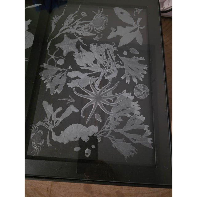 2020s Hand Engraved Sea Life Glass and Metal Coffee Table For Sale - Image 5 of 15