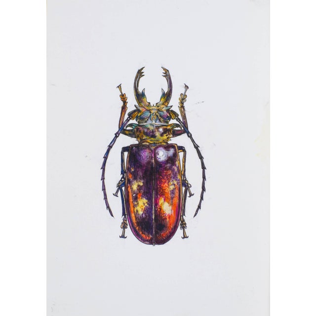 Juris Utans, Orange-Purple Beetleman, 2021, Mixed Media on Paper For Sale - Image 3 of 3