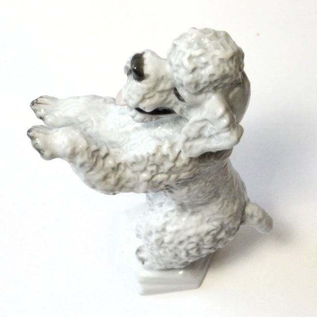 White Vintage Rosenthal Bavaria Begging Poodle Figurine – Hand-Painted Porcelain Model 5155 – German Art Dog, C. 1950 For Sale - Image 8 of 10