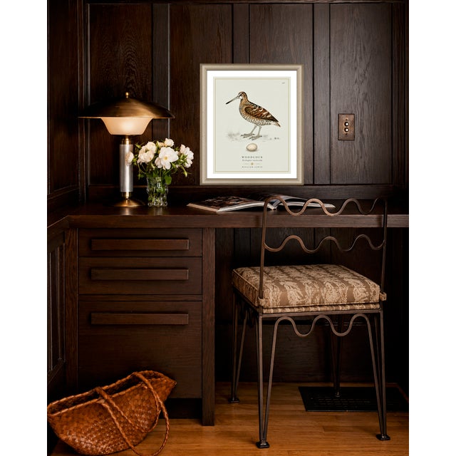William Lewin 1789 Waterbirds Fine Art Gallery Board Print - The Woodcock For Sale - Image 4 of 12