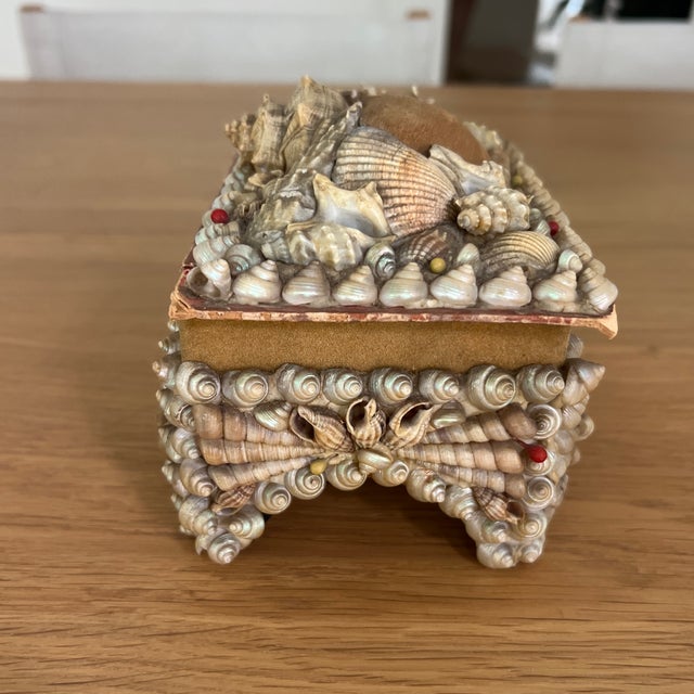 Antique Victorian Shell Encrusted Box For Sale In Providence - Image 6 of 8