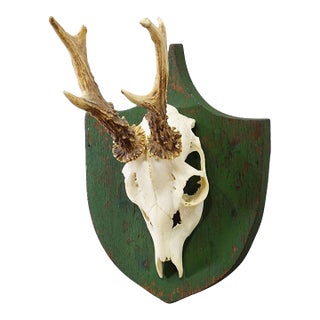 Antique Black Forest Red Deer Trophy on Green Plaque - Salem Germany 1900 For Sale