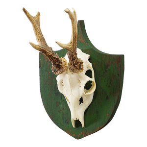 Antique Black Forest Red Deer Trophy on Green Plaque - Salem Germany 1900