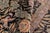 Textile Art Nouveau Pak-Persian Black/Green Wool Rug - 10'3'' X 14'3'' For Sale - Image 7 of 8