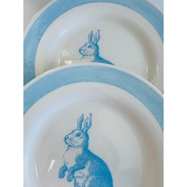English Set of 6, English Bunny Rabbit Plates For Sale - Image 3 of 7
