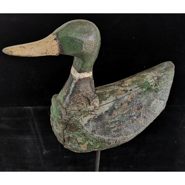 Vintage Decoy Duck on Stand, 1940 For Sale - Image 11 of 16