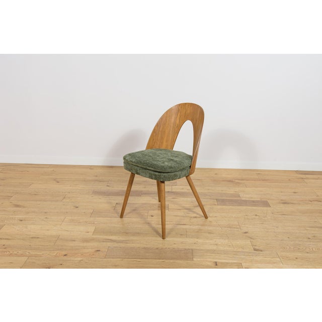 Wood Mid-Century Modern Ash Veneer Dining Chairs by Antonín Šuman for Mier Topoľčany, Czechoslovakia, 1960s, Set of 4 For Sale - Image 7 of 18