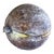 Mid 20th Century Italian Alabaster Stone Plum For Sale