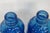 Glass Wheaton Nj Pocahontas Indian Herbs 2pc Pair Blue Glass Salt Pepper Shakers 4926b For Sale - Image 7 of 16