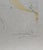 Abstract 1970s Dali Arnella the Golden Fleece Hand Signed Numbered Surrealism Art For Sale - Image 3 of 3