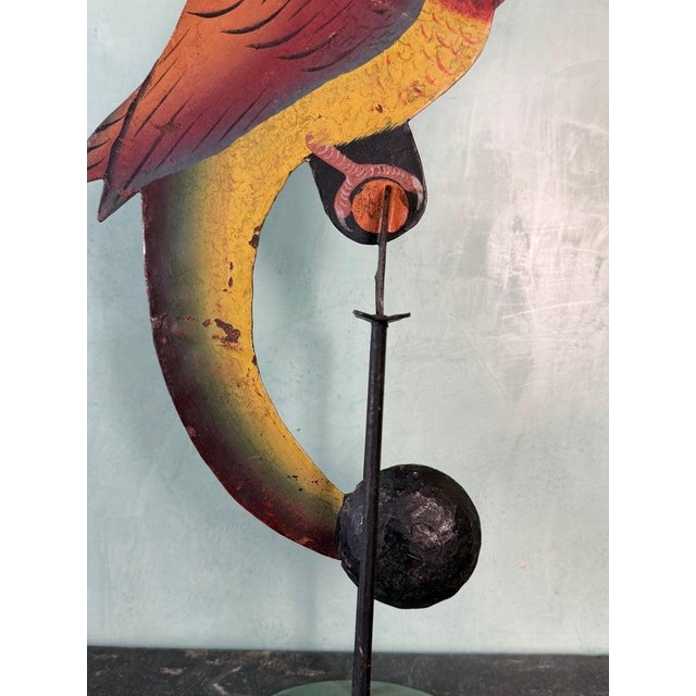 Mid 20th Century Vintage Folk Art Parrot Balancing Kinetic Sculpture For Sale - Image 5 of 7