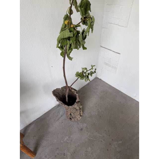 Vintage Cork Bark Vase, 1970s For Sale - Image 9 of 18