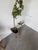 Vintage Cork Bark Vase, 1970s For Sale - Image 9 of 18