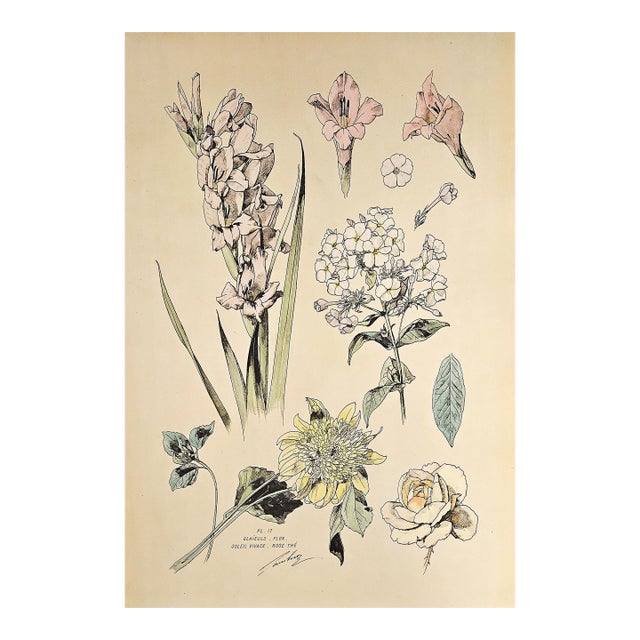1880s Large Rare French Antique Hand-Colored Botanical Lithograph by Henri Lambrt-Gladiolus, Flox, Tea Rose For Sale
