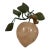 Asian Rose Quartz Carved Plum/Peach Fruit Hard Stone Leaves For Sale