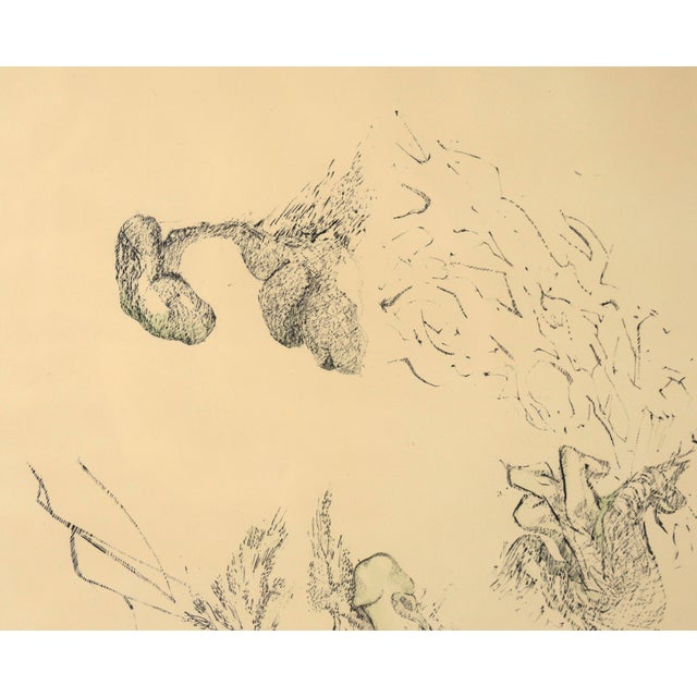 Stephen Tracy White by "Henry S. Miller" Lithograph in Ink on Paper, #3 of 8 For Sale In Monterey, CA - Image 6 of 10