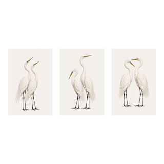 Crane Studies 1 - 3, Neutral Coastal Bird Art Triptych, 40" X 60" For Sale