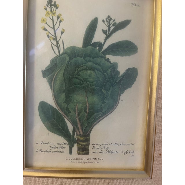 Paper 1940s Set of Small Botanical Prints in Gold Frame For Sale - Image 7 of 8