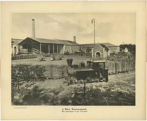 Photographic Plate Illustrating the Transportation of Cane attributed to Kleynenberg, 1910