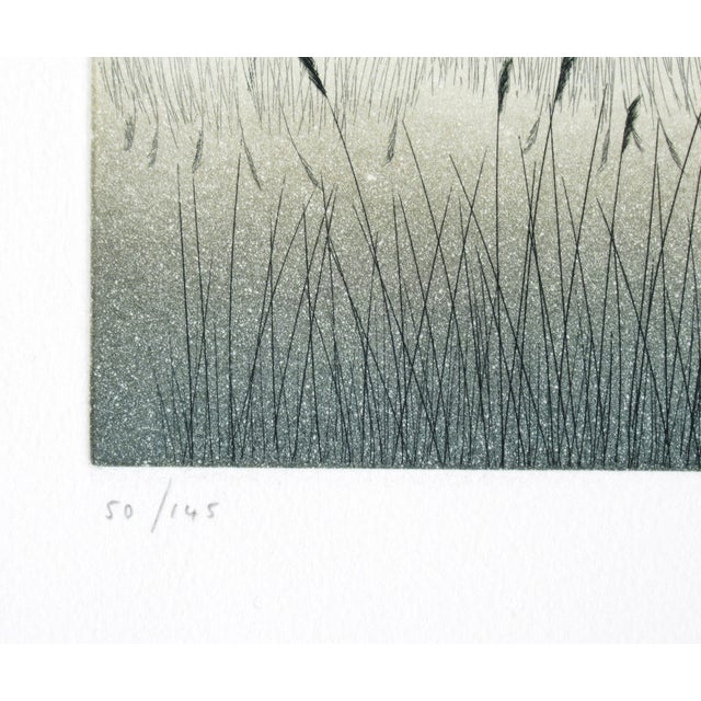 Gray Jean Solombre, Lagune, 1986 For Sale - Image 8 of 10