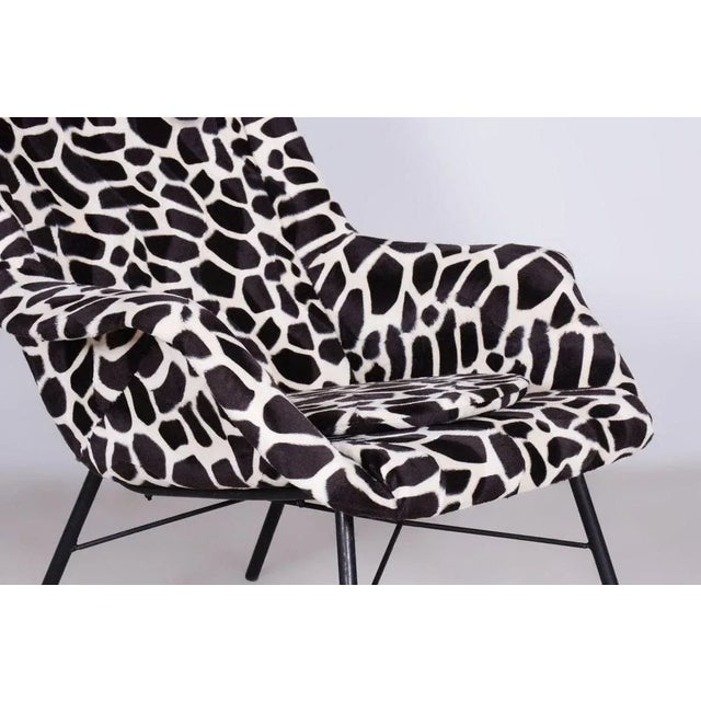Wingchair with mitation Giraffe Fur from Miroslav Navratil, Czechia, 1950s For Sale - Image 3 of 13