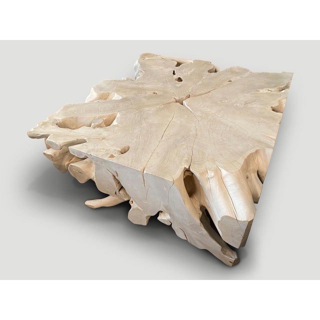 Andrianna Shamaris Impressive Bleached Teak Wood Coffee Table or Console For Sale - Image 10 of 18