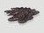 Andrianna Shamaris Impressive Sculptural Teak Wood Root Coffee Table For Sale - Image 18 of 18