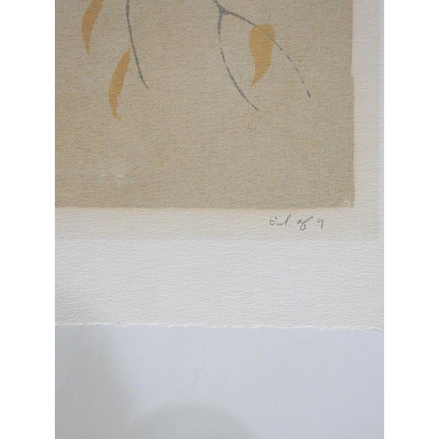 Late 20th century serigraph on paper by MB Woods. Signed Marcan Woods, titled Ring Neck Doves, Edition of 9 in pencil...