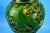 Antique Green Neo-Renaissance Vases in Relief by Vincenzo Corrente, 1890s, Set of 2 For Sale - Image 9 of 18