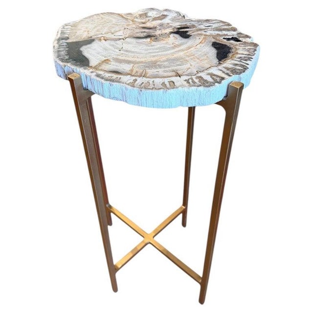 Extremely Rare Petrified Wood Slab Made Into a Table For Sale - Image 4 of 4