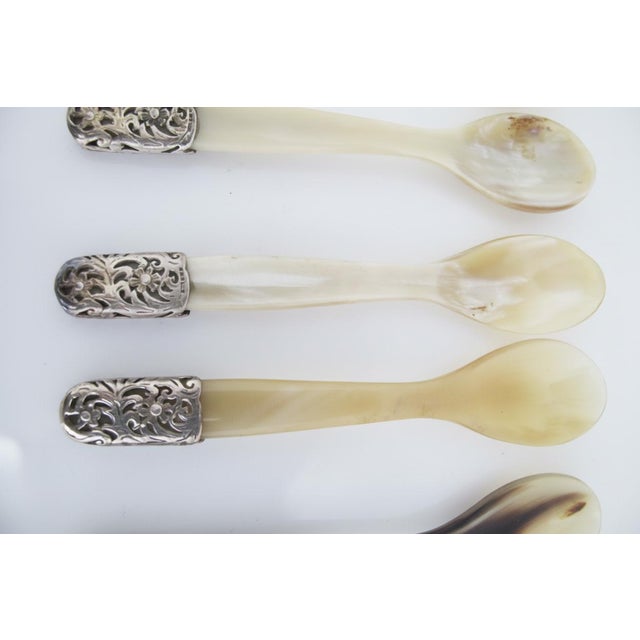 Early 20th Century Vintage Natural Horn Sterling Silver Floral Mounted Caviar Spoon - Set of 7 For Sale - Image 5 of 9