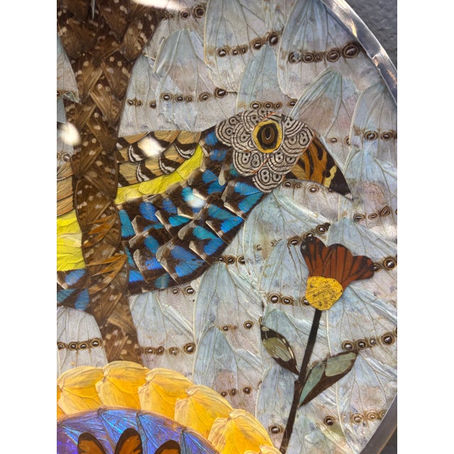 Handcrafted vintage Brazilian butterfly wing tray featuring a vibrant tropical bird created from hand arranged butterfly...