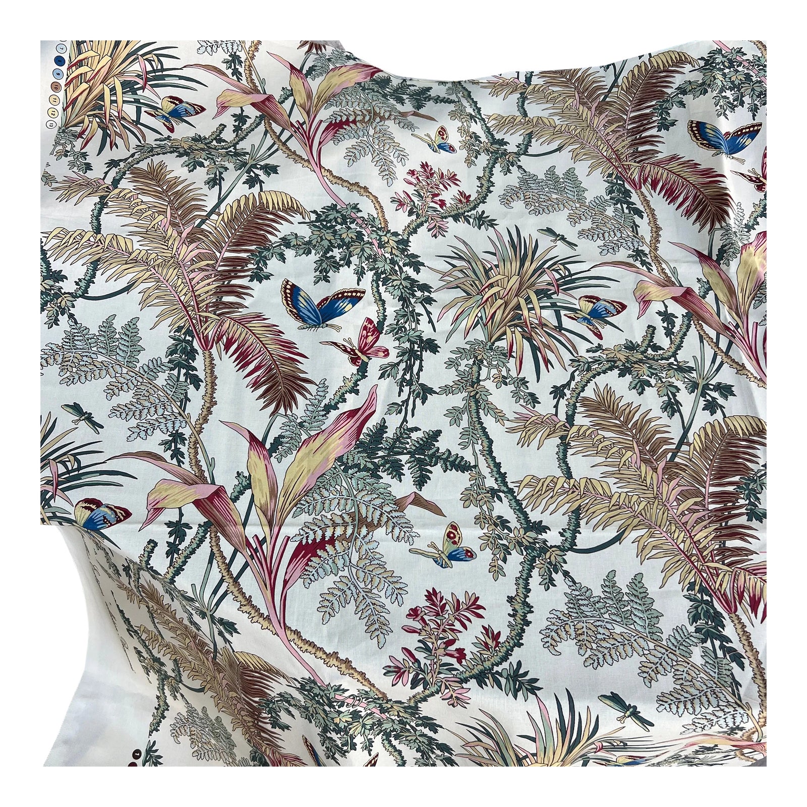 Pierre Frey Braquenie Papillons Exotiques Cotton Fabric Remnant 24