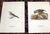 Printmaking Materials Antique 19th C. Large Folio Bird Lithographs - Set of 11 For Sale - Image 7 of 8