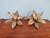 Mid-Century Modern Floral Brass Wall Sconces by Willy Daro for Massive, 1970, Set of 2 For Sale - Image 3 of 14