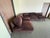 Kreiss Sectional Sofas For Sale In Los Angeles - Image 6 of 8