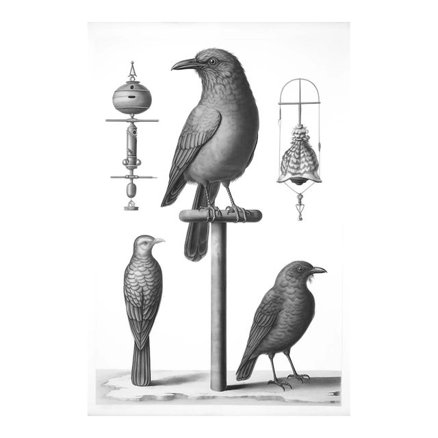 'Birds' Watercolor & Pencil Black and White Print For Sale