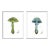 Mushroom Diptych in Green & Blue by Lia Burke Libaire in White Frame, XS Art Prints, Set of 2 For Sale