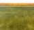 Small English Birdseye Maple Pedestal Desk, 1840 For Sale - Image 12 of 14