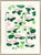 Susan Hable is a renowned artist and designer based in Athens, Georgia, known for her bold and colorful works. Co-founder...