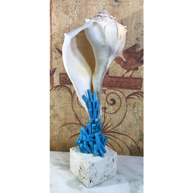 Contemporary Seashell & Turquoise Stone by Joseph Malekan For Sale - Image 12 of 13