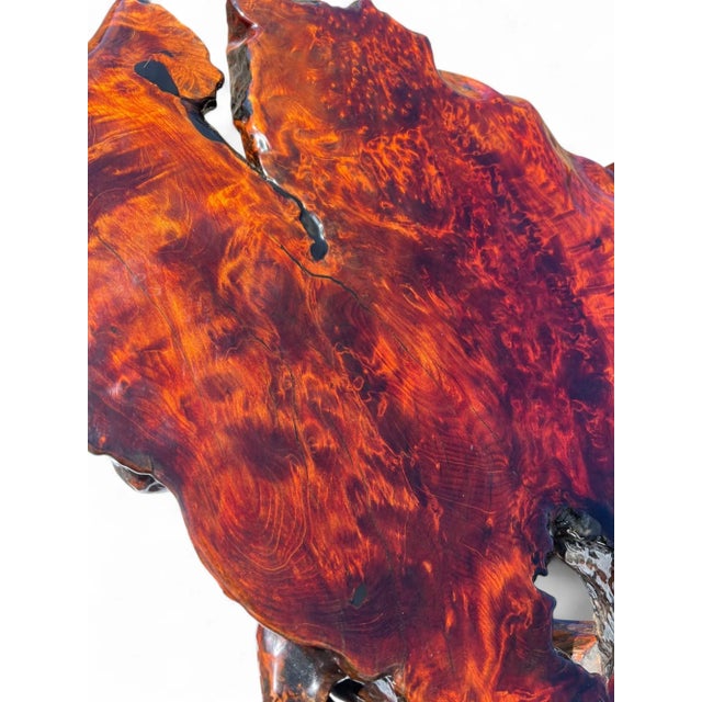 Redwood Live Edge Coffee Table Figured & Burlwood Slab, Western Red Sedar Root Stump For Sale - Image 6 of 17