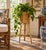 A wonderfully sculptural mid-century bamboo planter on stand, combining a slatted cylindrical planter with a slender...