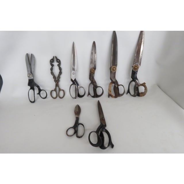 Traditional Early 1900s Fabric Tailor Heavy Duty Vintage Collectible Scissors 4577b For Sale - Image 3 of 18