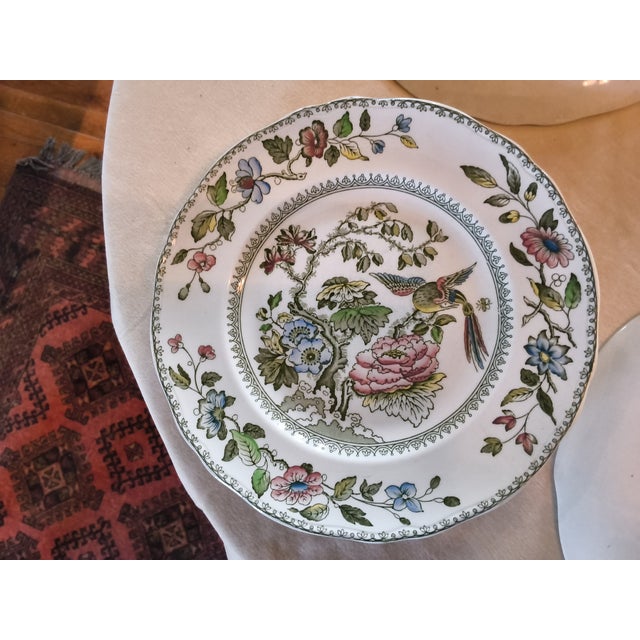 Antique Davenport Green Multicolor China Dinner Plates by Crown Staffordshire - Set of 4 For Sale - Image 6 of 6