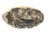 Wood Antique Canada Goose Decoy For Sale - Image 7 of 7