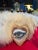 not needlepoint We are delighted to share the Heartfelt Glimpse pillow, our collaboration with the most darling Haricot...