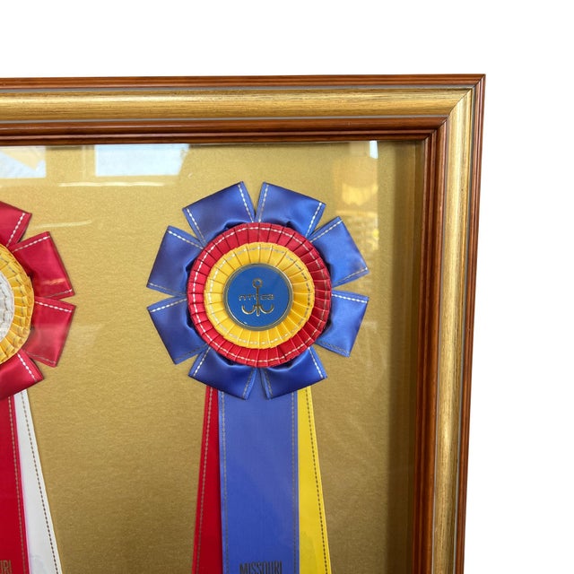 Framed Missouri Horse Show Champion Rosettes, Equestrian Wall Art, 1992 For Sale In Oklahoma City - Image 6 of 17